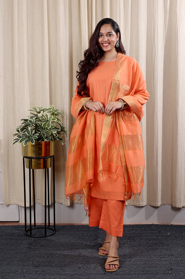 Dark Coral Mukaish Work Zari Stripes Chanderi Silk Women Long Kurta Long Sleeves WLKLS252C161