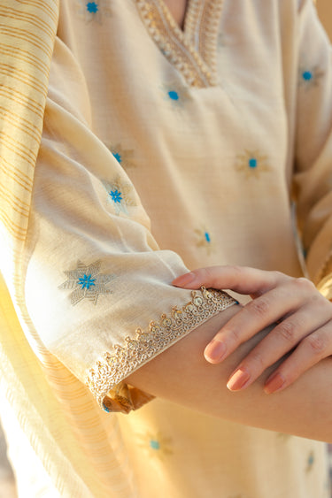 Beige Mina Butta Banarasi Silk Women Long Kurta Long Sleeves WLKLS252C106